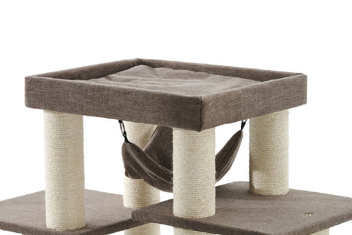 Nobby Kratzbaum Hital